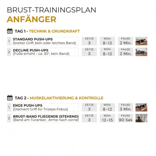 Brust-Trainingsplan-Push-up-board-pro-Anfaenger-_Othersports